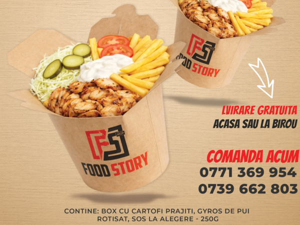 Promo - Box Gyros de pui 1+1